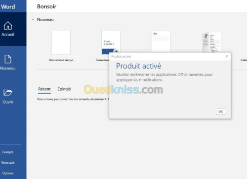 Microsoft Office 2021 Pro Plus Retail