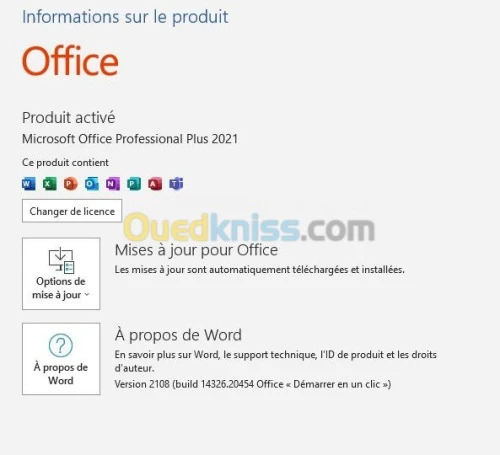 Microsoft Office 2021 Pro Plus Retail