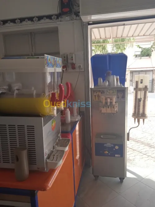 Machine a glace carpijiani 