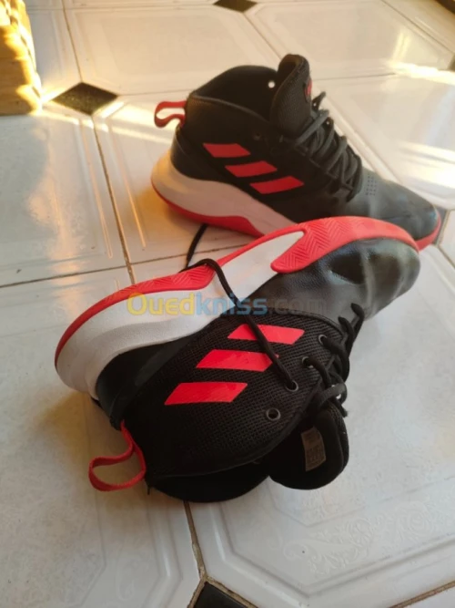 Basquette adidas Originals montante