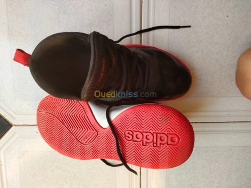 Basquette adidas Originals montante