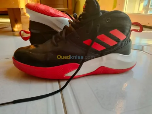 Basquette adidas Originals montante