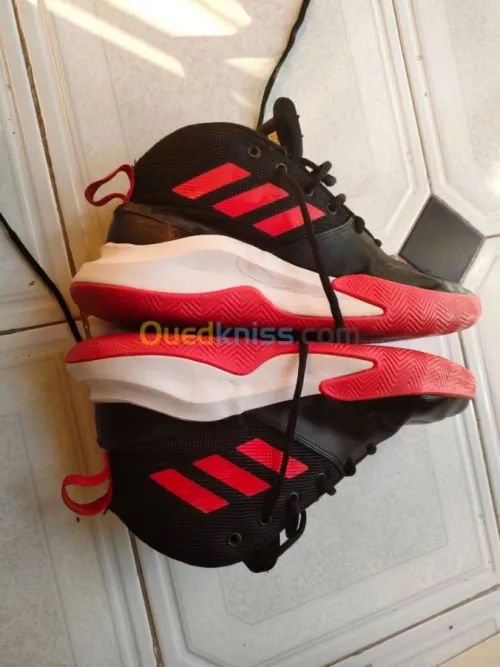 Basquette adidas Originals montante
