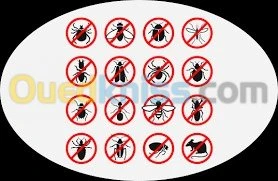 désinsectisation, dératisation & désin