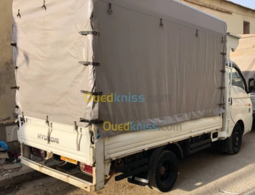 Transport marchandise  H100