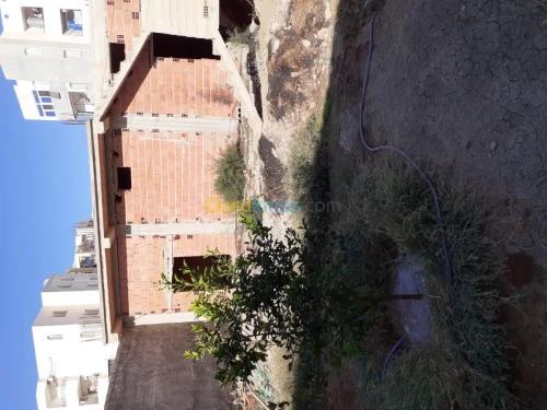 Vente Carcasse Chlef Boukadir