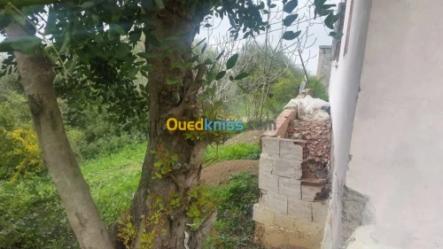 Vente Carcasse Blida Blida