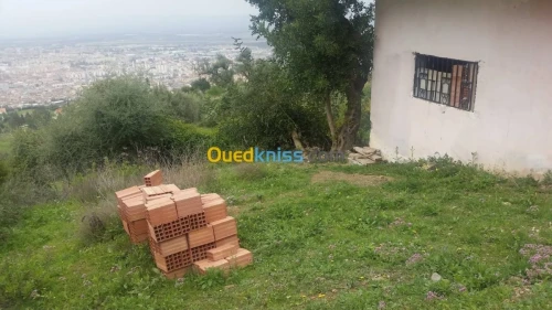 Vente Carcasse Blida Blida