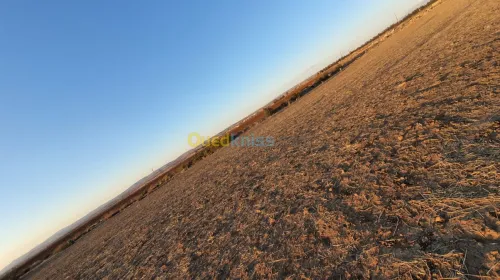 Vente Terrain Bouira Bir ghbalou