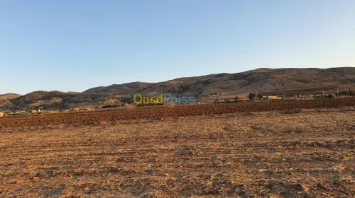 Vente Terrain Bouira Bir ghbalou
