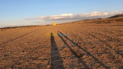Vente Terrain Bouira Bir ghbalou
