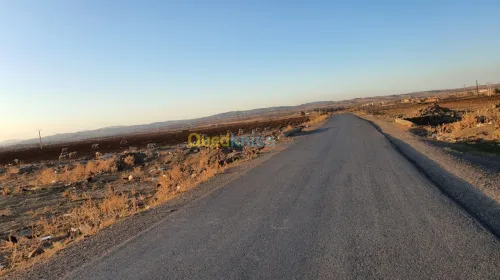 Vente Terrain Bouira Bir ghbalou