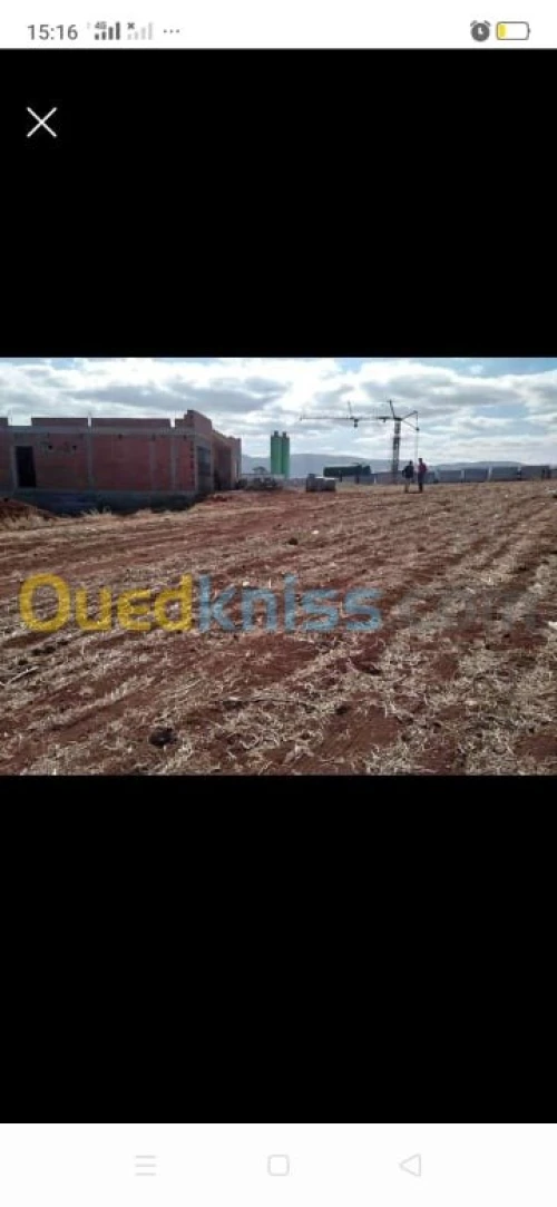 Vente Terrain Tlemcen Dar yaghmouracene