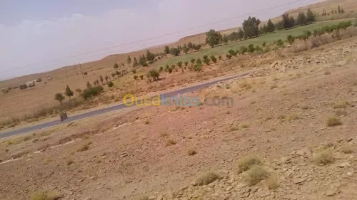 Vente Terrain Agricole Laghouat Tadjemout
