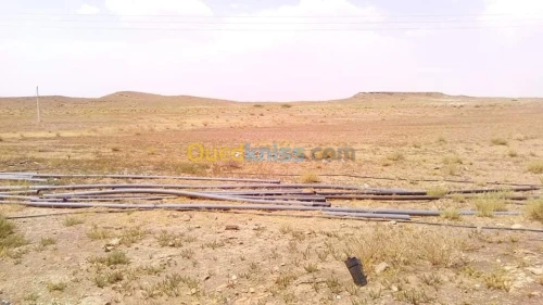 Vente Terrain Agricole Laghouat Tadjemout