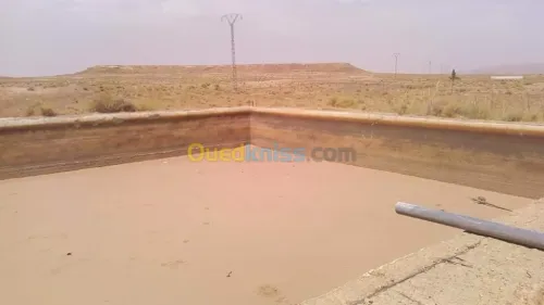 Vente Terrain Agricole Laghouat Tadjemout