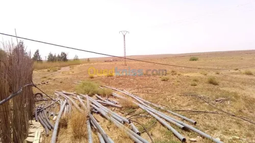 Vente Terrain Agricole Laghouat Tadjemout