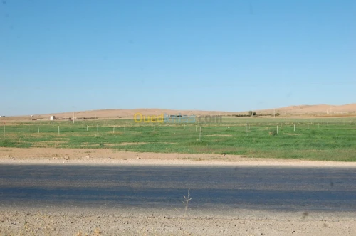 Vente Terrain Agricole Msila Ain el hadjel