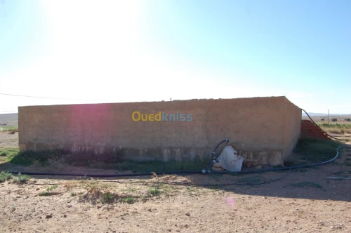 Vente Terrain Agricole Msila Ain el hadjel