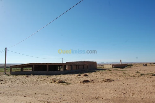 Vente Terrain Agricole Msila Ain el hadjel