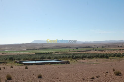 Vente Terrain Agricole Msila Ain el hadjel