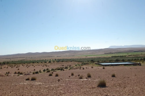 Vente Terrain Agricole Msila Ain el hadjel