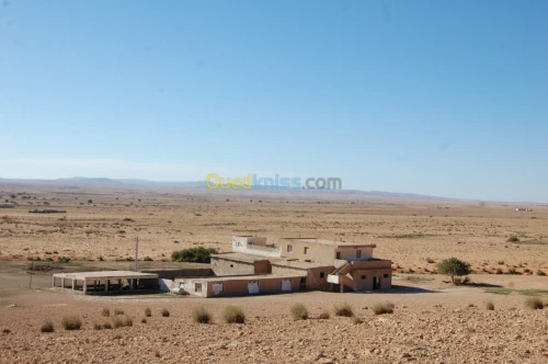Vente Terrain Agricole Msila Ain el hadjel