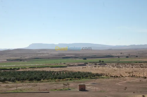 Vente Terrain Agricole Msila Ain el hadjel