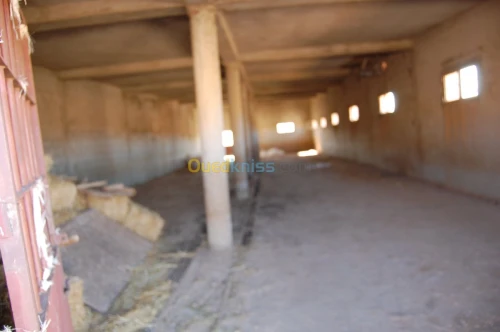 Vente Terrain Agricole Msila Ain el hadjel