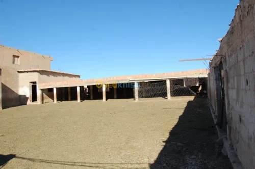 Vente Terrain Agricole Msila Ain el hadjel