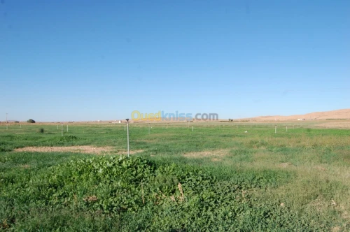 Vente Terrain Agricole Msila Ain el hadjel