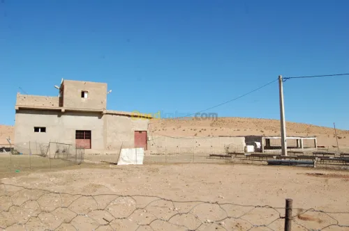Vente Terrain Agricole Msila Ain el hadjel