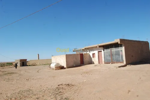 Vente Terrain Agricole Msila Ain el hadjel