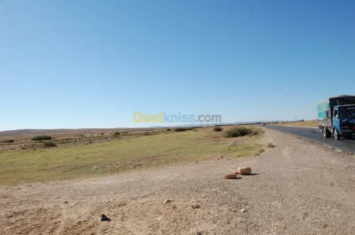 Vente Terrain Agricole Msila Ain el hadjel