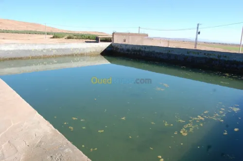 Vente Terrain Agricole Msila Ain el hadjel