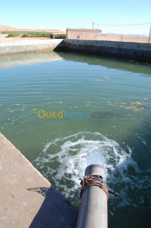 Vente Terrain Agricole Msila Ain el hadjel