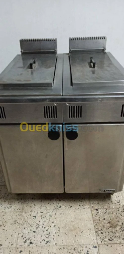 friteuse pour restauration