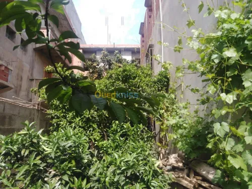 Vente Villa Guelma Boumahra ahmed