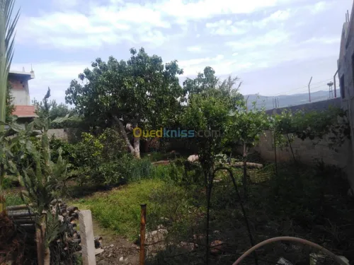 Vente Villa Guelma Boumahra ahmed