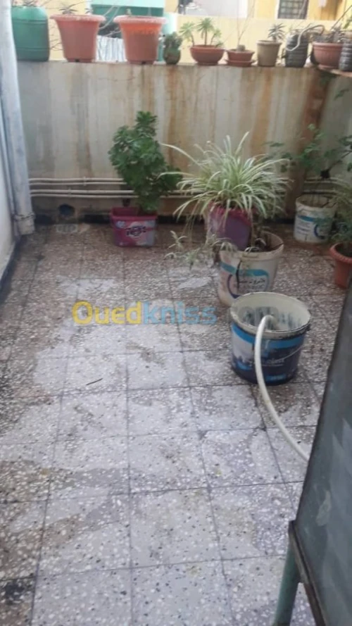 Vente Duplex F6 Tlemcen Hennaya