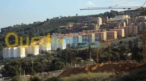 bureau affaires et locations voitures