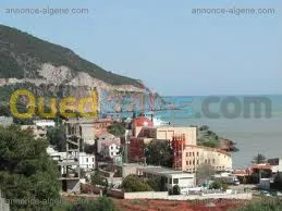 bureau affaires et locations voitures