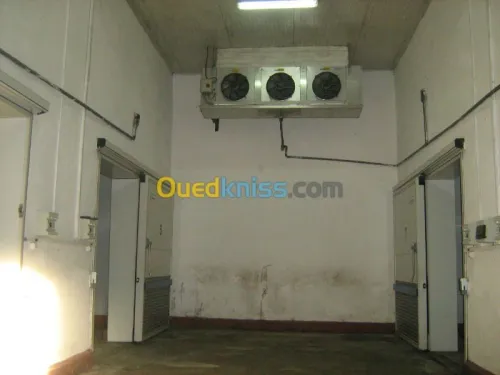 location de 12 chambres froides