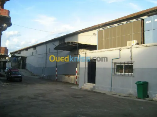 location de 12 chambres froides