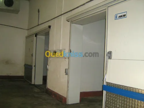 location de 12 chambres froides