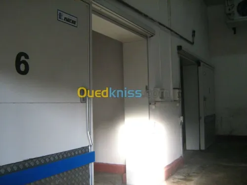 location de 12 chambres froides