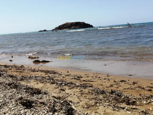 Location Appartement Tipaza Hadjeret ennous