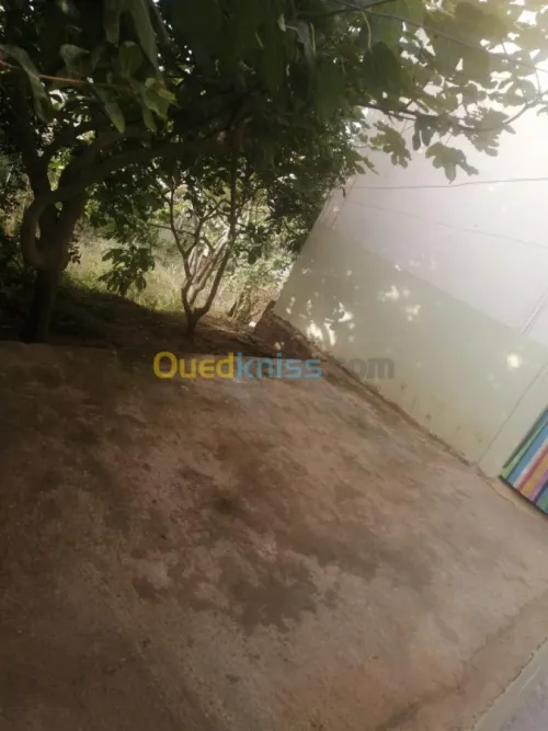 Location Appartement Tipaza Hadjeret ennous