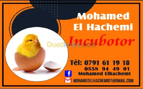 فقاسات محمد الهاشمي