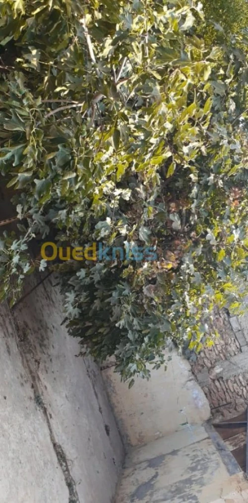 Vente Villa Ain temouchent El malah